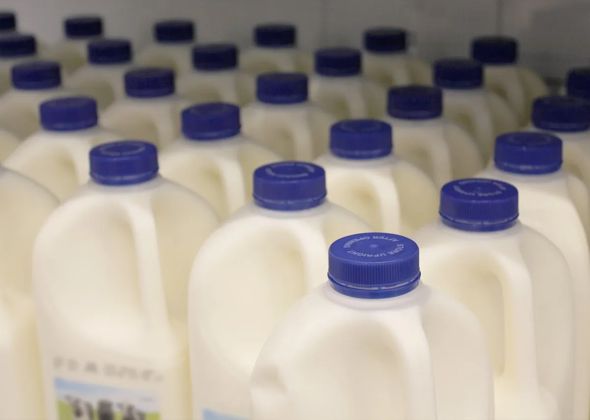 How a Czech Grocery Chain Cut Milk Spoilage by 40%